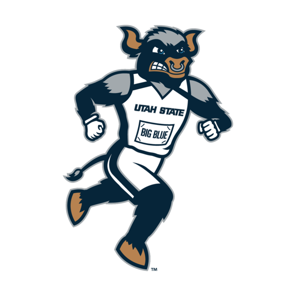 Big Blue Cross Country Sticker 3 IN